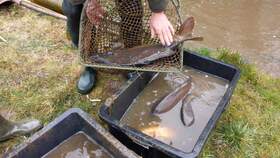 14.03.15 Abfischen Heideteiche