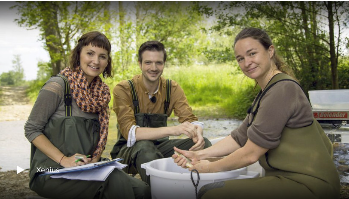 Filmtipp | Angelsport - Chance f&uuml;r das &Ouml;kosystem?