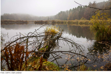 &Ouml;kologische Aufwertung von Gew&auml;ssern n&uuml;tzt Fischen und Menschen